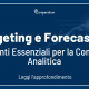 Budgeting e Forecasting Contabilità Analitica